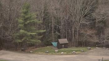 Weather camera view of John Dorr Nature Lab-Horace Mann School.