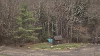Weather camera view of John Dorr Nature Lab-Horace Mann School.