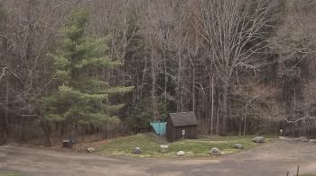 Weather camera view of John Dorr Nature Lab-Horace Mann School.