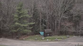 Weather camera view of John Dorr Nature Lab-Horace Mann School.
