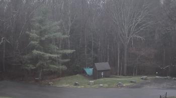 Weather camera view of John Dorr Nature Lab-Horace Mann School.