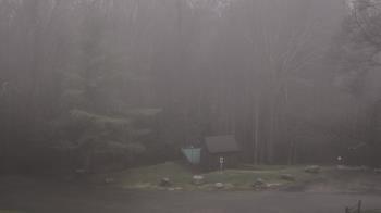 Weather camera view of John Dorr Nature Lab-Horace Mann School.