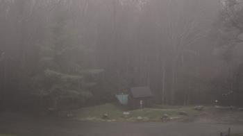 Weather camera view of John Dorr Nature Lab-Horace Mann School.