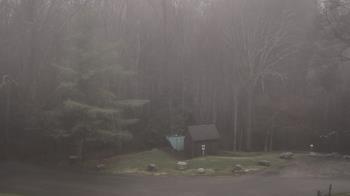 Weather camera view of John Dorr Nature Lab-Horace Mann School.