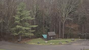 Weather camera view of John Dorr Nature Lab-Horace Mann School.
