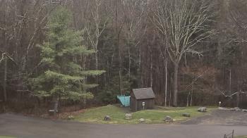 Weather camera view of John Dorr Nature Lab-Horace Mann School.