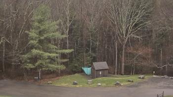 Weather camera view of John Dorr Nature Lab-Horace Mann School.