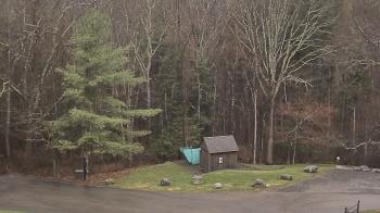 Weather camera view of John Dorr Nature Lab-Horace Mann School.