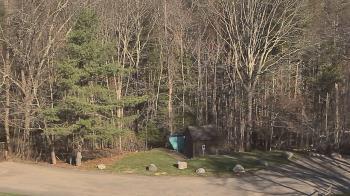 Weather camera view of John Dorr Nature Lab-Horace Mann School.