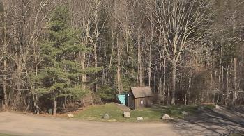 Weather camera view of John Dorr Nature Lab-Horace Mann School.
