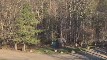Weather camera view of John Dorr Nature Lab-Horace Mann School.