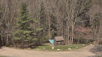 Weather camera view of John Dorr Nature Lab-Horace Mann School.