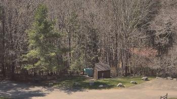 Weather camera view of John Dorr Nature Lab-Horace Mann School.