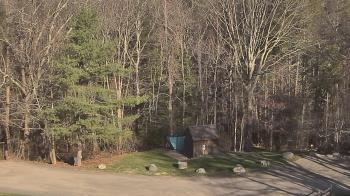 Weather camera view of John Dorr Nature Lab-Horace Mann School.