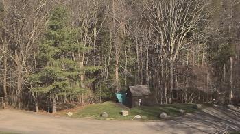 Weather camera view of John Dorr Nature Lab-Horace Mann School.