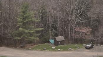 Weather camera view of John Dorr Nature Lab-Horace Mann School.