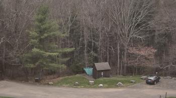 Weather camera view of John Dorr Nature Lab-Horace Mann School.