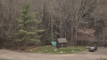 Weather camera view of John Dorr Nature Lab-Horace Mann School.