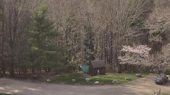 Weather camera view of John Dorr Nature Lab-Horace Mann School.