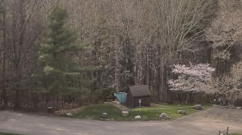 Weather camera view of John Dorr Nature Lab-Horace Mann School.