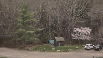 Weather camera view of John Dorr Nature Lab-Horace Mann School.