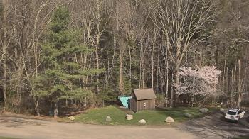 Weather camera view of John Dorr Nature Lab-Horace Mann School.