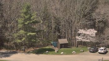 Weather camera view of John Dorr Nature Lab-Horace Mann School.