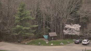 Weather camera view of John Dorr Nature Lab-Horace Mann School.