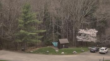 Weather camera view of John Dorr Nature Lab-Horace Mann School.