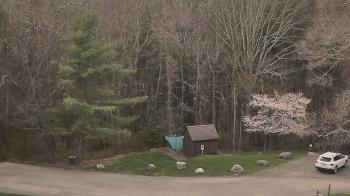 Weather camera view of John Dorr Nature Lab-Horace Mann School.