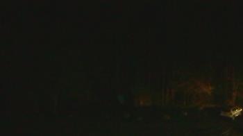 Weather camera view of John Dorr Nature Lab-Horace Mann School.