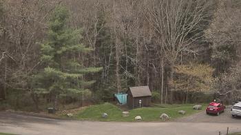 Weather camera view of John Dorr Nature Lab-Horace Mann School.