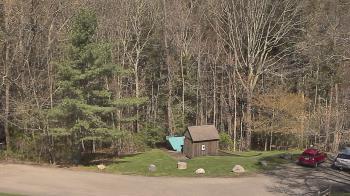 Weather camera view of John Dorr Nature Lab-Horace Mann School.