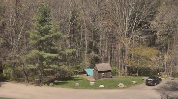 Weather camera view of John Dorr Nature Lab-Horace Mann School.