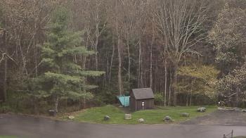 Weather camera view of John Dorr Nature Lab-Horace Mann School.