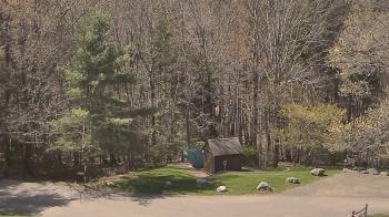 Weather camera view of John Dorr Nature Lab-Horace Mann School.