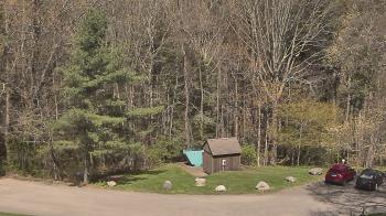 Weather camera view of John Dorr Nature Lab-Horace Mann School.