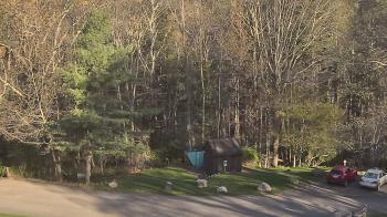 Weather camera view of John Dorr Nature Lab-Horace Mann School.