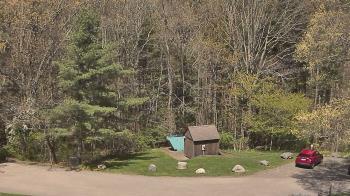 Weather camera view of John Dorr Nature Lab-Horace Mann School.