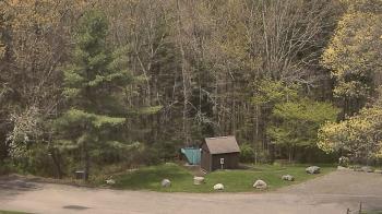 Weather camera view of John Dorr Nature Lab-Horace Mann School.