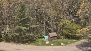 Weather camera view of John Dorr Nature Lab-Horace Mann School.
