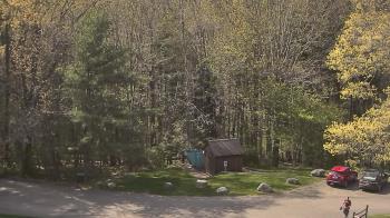 Weather camera view of John Dorr Nature Lab-Horace Mann School.