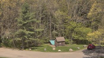 Weather camera view of John Dorr Nature Lab-Horace Mann School.