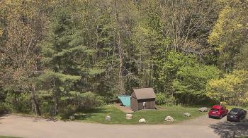 Weather camera view of John Dorr Nature Lab-Horace Mann School.