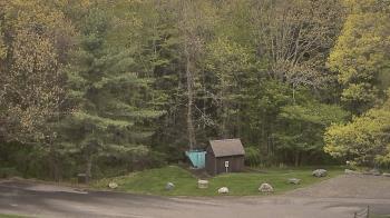 Weather camera view of John Dorr Nature Lab-Horace Mann School.