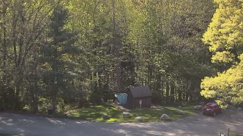 Weather camera view of John Dorr Nature Lab-Horace Mann School.