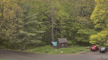 Weather camera view of John Dorr Nature Lab-Horace Mann School.