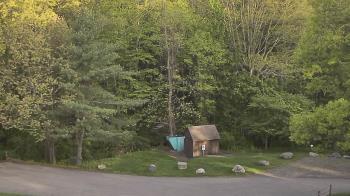 Weather camera view of John Dorr Nature Lab-Horace Mann School.