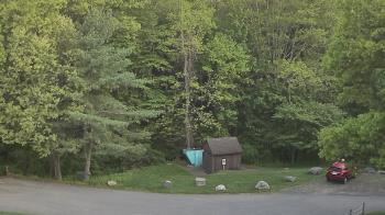 Weather camera view of John Dorr Nature Lab-Horace Mann School.