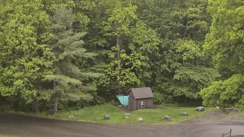 Weather camera view of John Dorr Nature Lab-Horace Mann School.